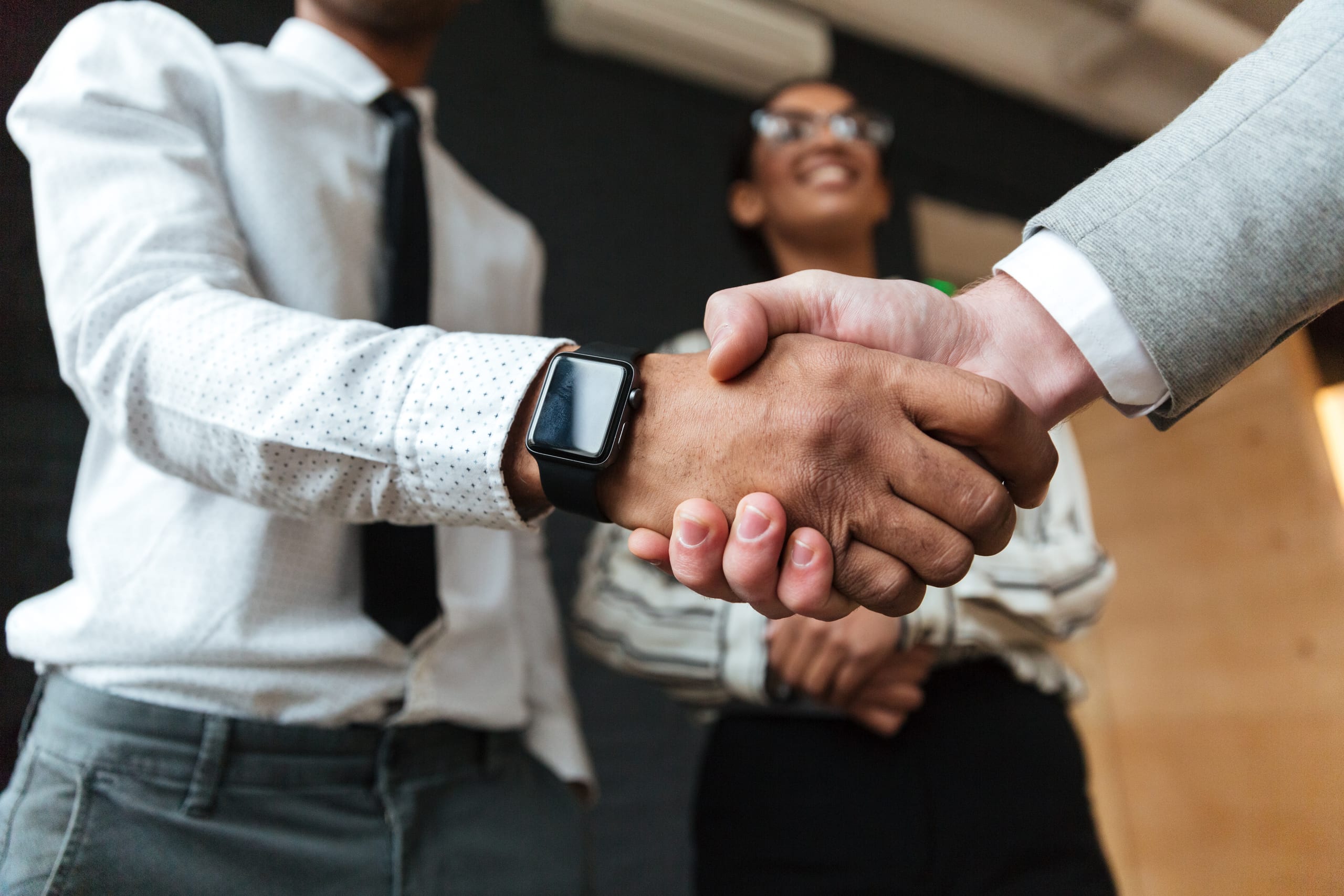 Business partners sealing a deal with a handshake
